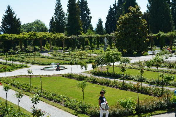 DSC_0010[1]
