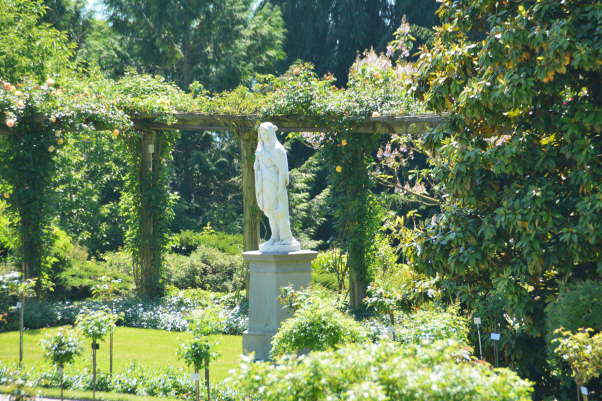 DSC_0011[1]
