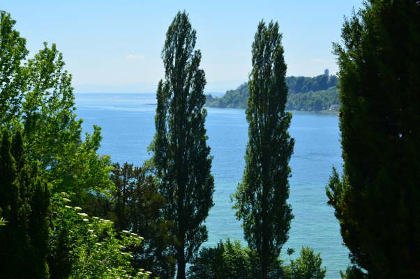 DSC_0016[1]