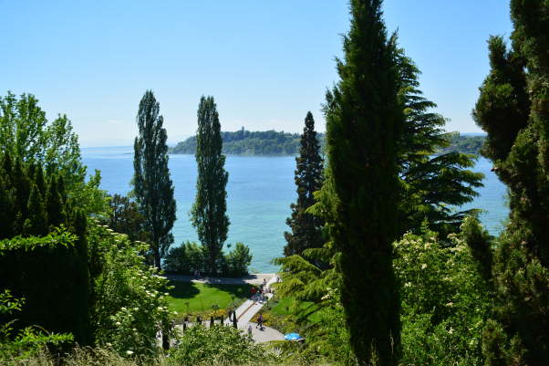 DSC_0017[1]
