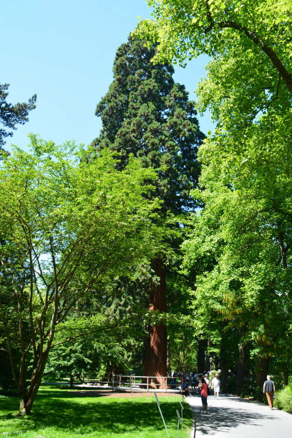 DSC_0021[1]
