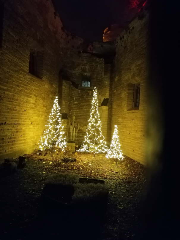 IMG-20191129-WA0007