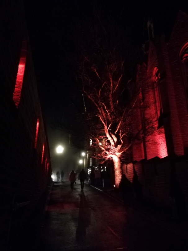 IMG-20191129-WA0018