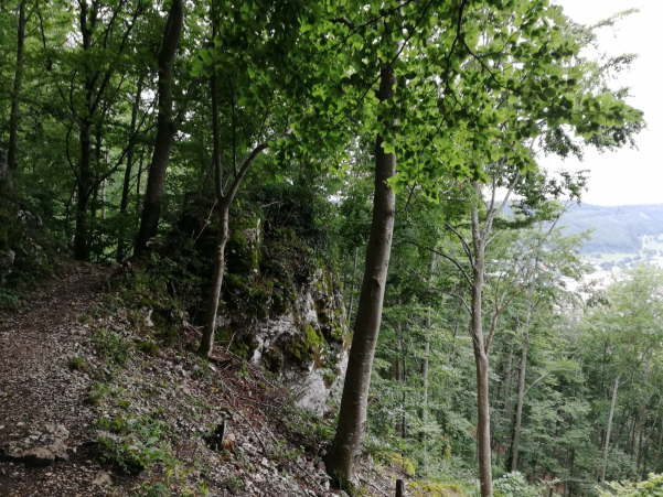 IMG-20200717-WA0019