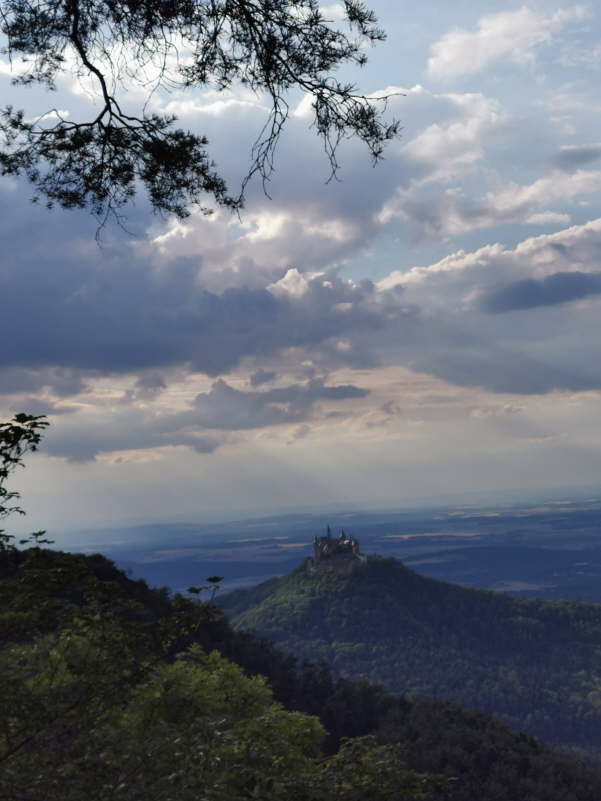 IMG-20200725-WA0009