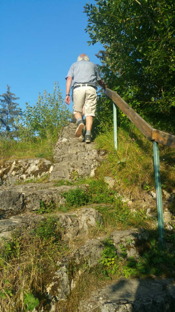 IMG-20200801-WA0009