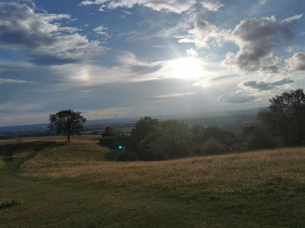 IMG-20200814-WA0013