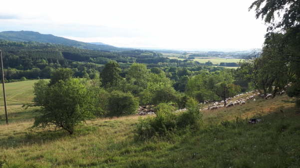 IMG-20200814-WA0020