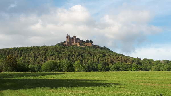 IMG-20200814-WA0021