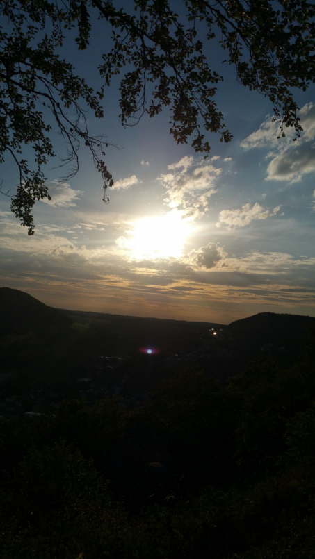 IMG-20200821-WA0011