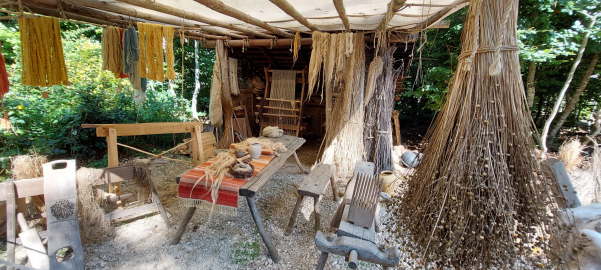IMG-20220904-WA0310