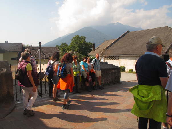 IMG_3520