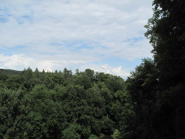 IMG_8685