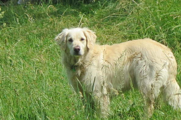 image005