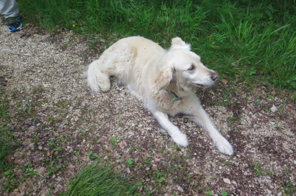 image012